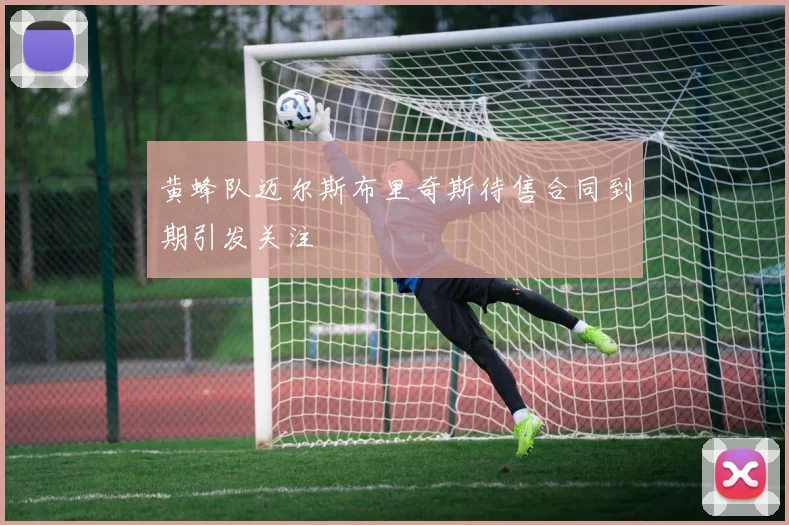 黄蜂队迈尔斯布里奇斯待售合同到期引发关注